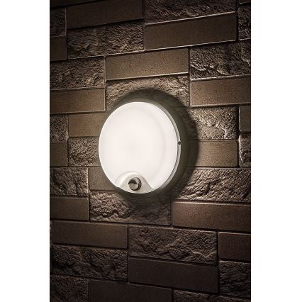 Rabalux - LED välisvalgusti seinale liikumisanduriga LED/18W/230V IP65 must