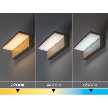 Rabalux - LED välisseinale mõeldud seinavalgusti LED/9W/230V IP54 beež