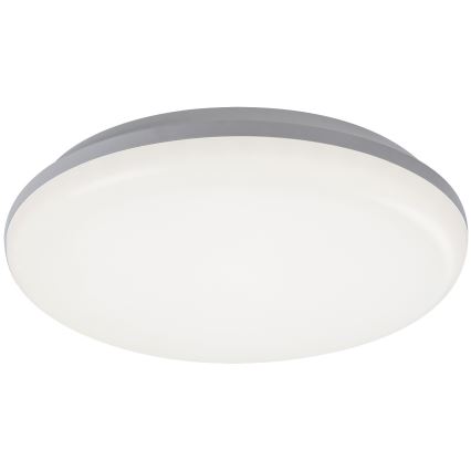 Rabalux - LED Väli laevalgusti LED/24W/230V IP64