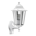 Rabalux 8216 - anduriga välis-Seinavalgusti VELENCE 1xE27/60W/230V