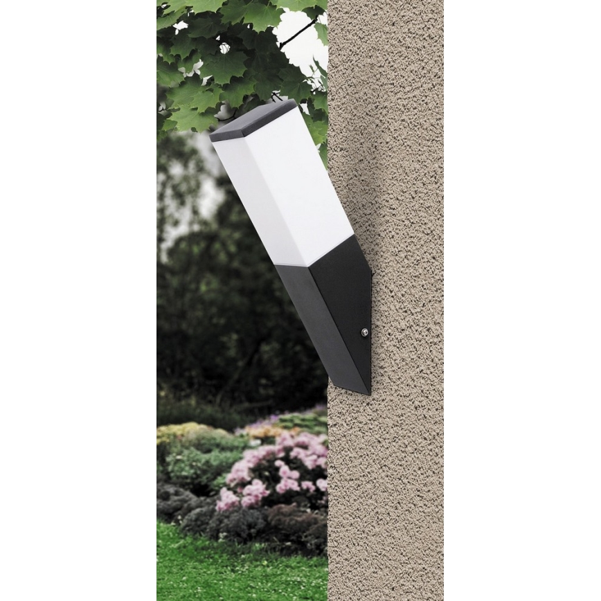 Rabalux - Väli seinavalgusti 1xE27/60W/230V IP44
