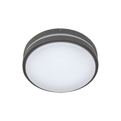 Rabalux 8847 - LED Väli seinavalgusti HAMBURG LED/10W/230V IP44
