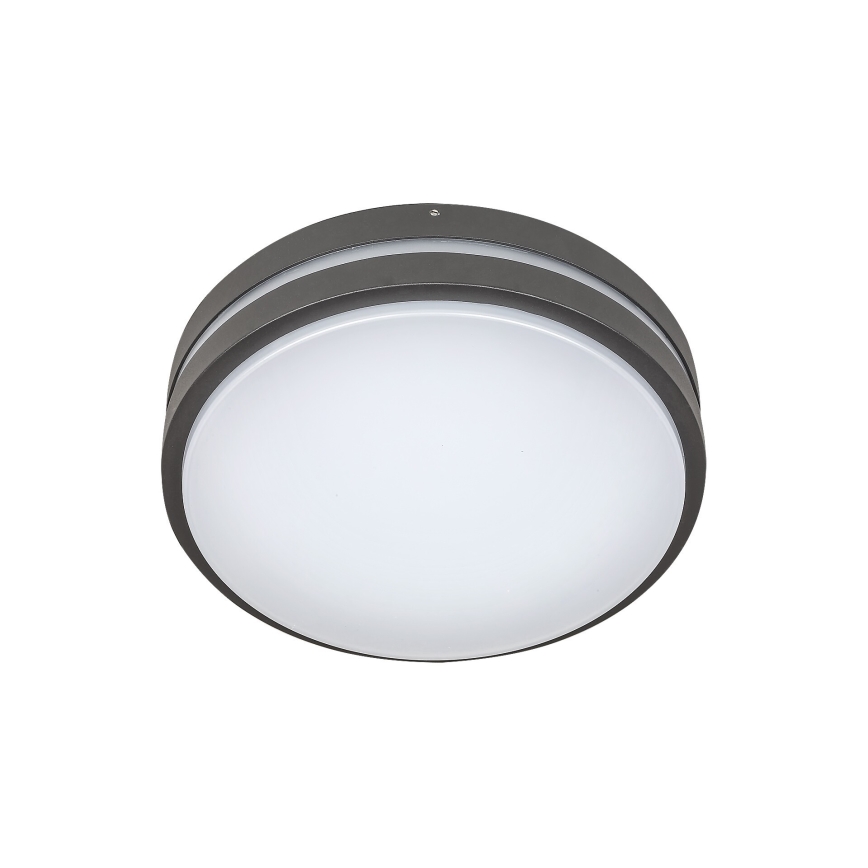 Rabalux 8847 - LED Väli seinavalgusti HAMBURG LED/10W/230V IP44