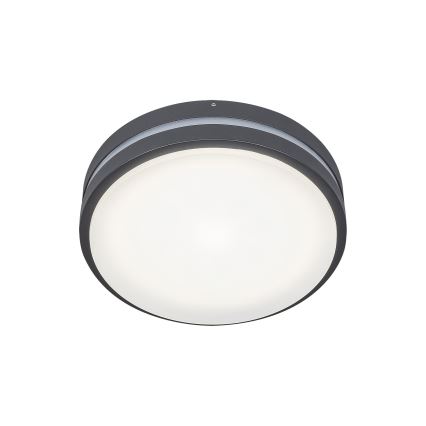 Rabalux 8847 - LED Väli seinavalgusti HAMBURG LED/10W/230V IP44
