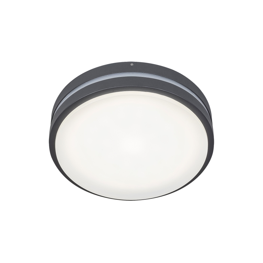 Rabalux 8847 - LED Väli seinavalgusti HAMBURG LED/10W/230V IP44