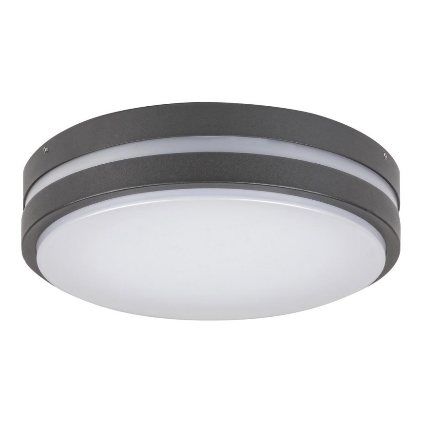 Rabalux 8848 - LED Väli seinavalgusti HAMBURG LED/12W/230V IP44