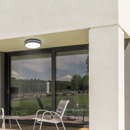 Rabalux 8848 - LED Väli seinavalgusti HAMBURG LED/12W/230V IP44