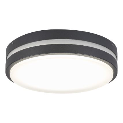 Rabalux 8848 - LED Väli seinavalgusti HAMBURG LED/12W/230V IP44