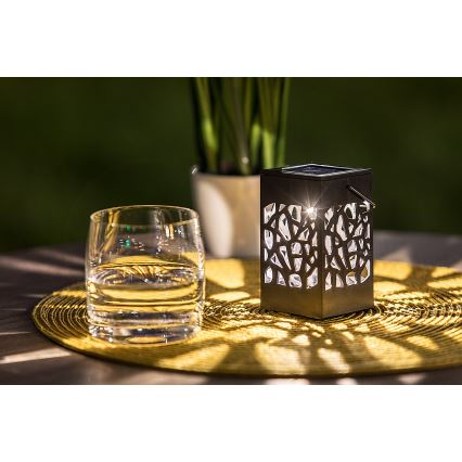 Rabalux - LED Väli päikesepaneeliga valgusti LED/0,07W/1xAAA IP23