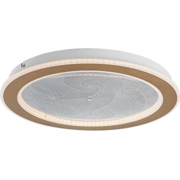 Rabalux - hämardatav LED-laelamp LED/24W/2300V 3000-6500K Ø 40 cm + kaugjuhtimispult