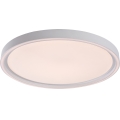 Rabalux - hämardatav LED-laelamp LED/31W/230V IP40 3000-6500K, läbimõõt 41,5 cm + kaugjuhtimispult