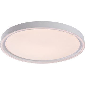 Rabalux - hämardatav LED-laelamp LED/31W/230V IP40 3000-6500K, läbimõõt 41,5 cm + kaugjuhtimispult