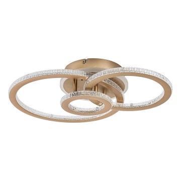 Rabalux - hämardatav LED-laelamp LED/40W/230V 3000-6500K + kaugjuhtimispult