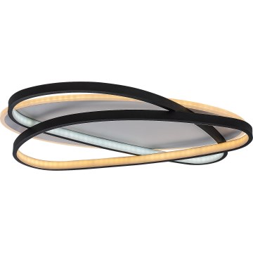 Rabalux - hämardatav LED-laelamp LED/57W/230V 3000-6000K 53x38 cm + kaugjuhtimispult