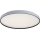 Rabalux - hämardatav LED-laelamp LED/80W/230V 3000-6500K Ø 77 cm + kaugjuhtimispult