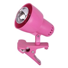 Rabalux - Klambriga lamp 1xE14/40W/230V roosa