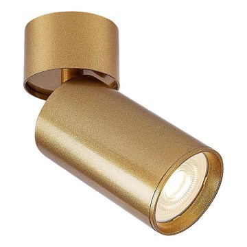 Rabalux - Kohtvalgusti 1xGU10/5W/230V kuldne