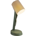 Rabalux - laualamp 1xE14/11W/230V roheline