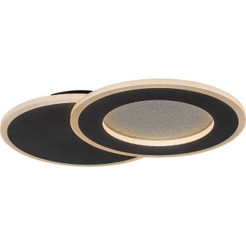 Rabalux - LED hämardatav laelamp LED/24W/230V 3000-6500K 35x23 cm + kaugjuhtimispult