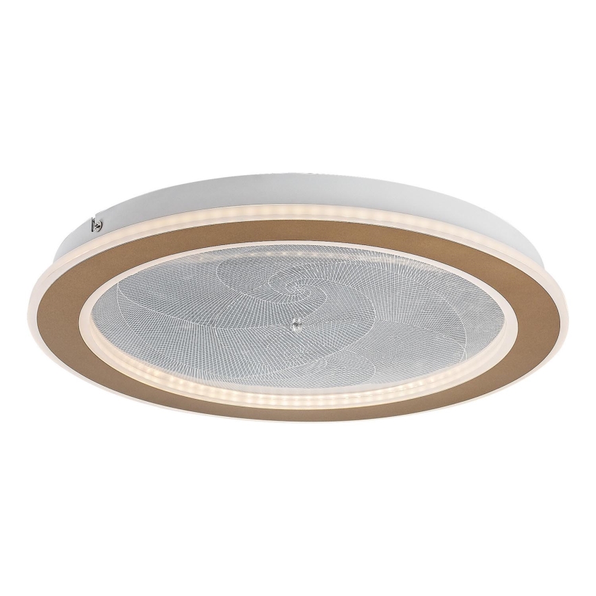 Rabalux - LED hämardatav laelamp LED/24W/230V 3000-6500K läbimõõt 40 cm + kaugjuhtimispult