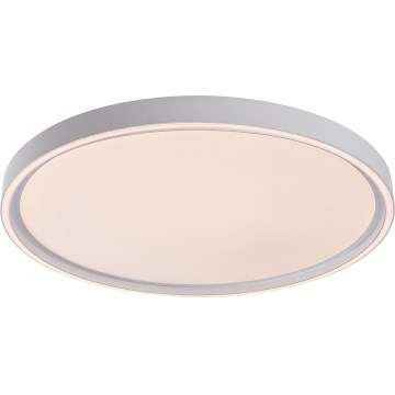 Rabalux - LED-hämardatav laelamp LED/54W/230V IP40 3000-6500K läbimõõt 52 cm + kaugjuhtimispult