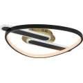 Rabalux - LED Hämardatav laelamp LED/60W/230V 3000-6000K 53x45 cm + kaugjuhtimispult