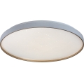 Rabalux - LED hämardatav laelamp LED/60W/230V 3000-6500K läbimõõt 58 cm + kaugjuhtimispult