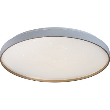 Rabalux - LED hämardatav laelamp LED/60W/230V 3000-6500K läbimõõt 58 cm + kaugjuhtimispult
