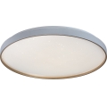 Rabalux - LED hämardatav laelamp LED/80W/230V 3000-6500K läbimõõt 77 cm + kaugjuhtimispult