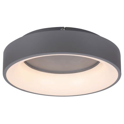 Rabalux - LED Hämardatav laevalgusti LED/24W/230V ümmargune 3000-6000K d. 45 cm + kaugjuhtimispult