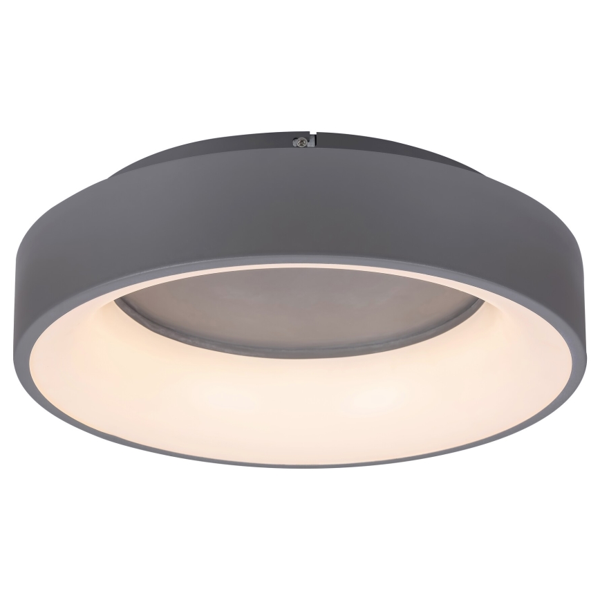 Rabalux - LED Hämardatav laevalgusti LED/24W/230V ümmargune 3000-6000K d. 45 cm + kaugjuhtimispult