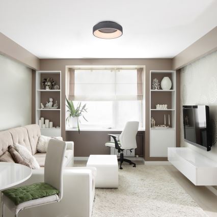 Rabalux - LED Hämardatav laevalgusti LED/24W/230V ümmargune 3000-6000K d. 45 cm + kaugjuhtimispult