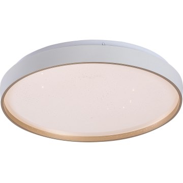 Rabalux - LED hämardatav laevalgusti LED/34W/230V 3000-6500K läbimõõt 38 cm + kaugjuhtimispult