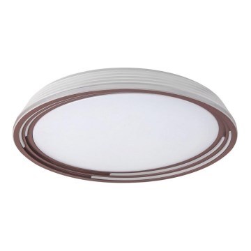 Rabalux - LED Hämardatav laevalgusti LED/36W/230V