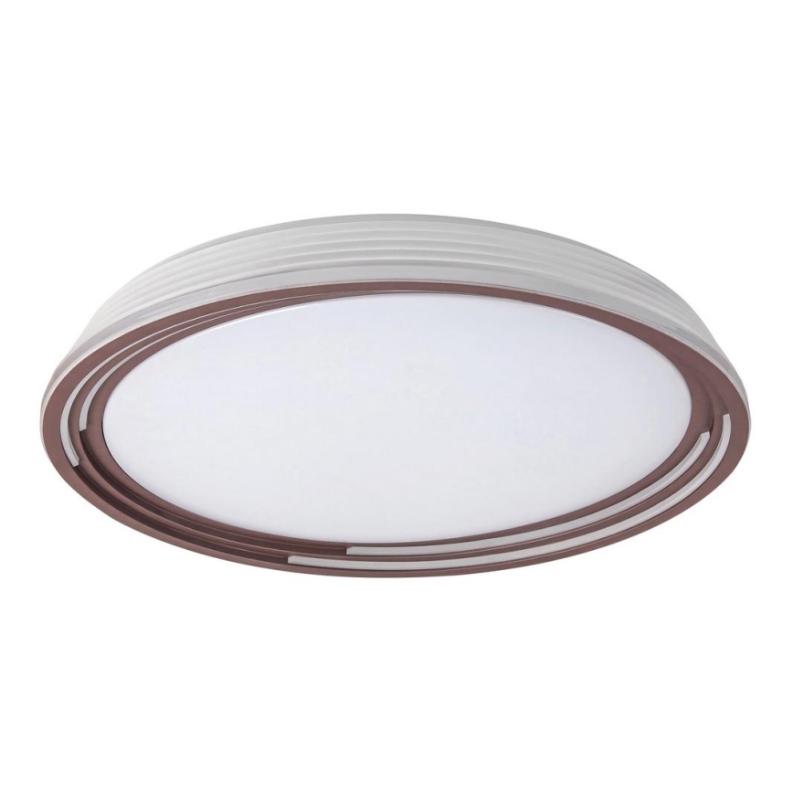 Rabalux - LED Hämardatav laevalgusti LED/36W/230V