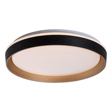 Rabalux - LED Hämardatav laevalgusti LED/48W/230V 3000-6500K + kaugjuhtimispult
