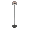Rabalux - LED Hämardatav põrandalamp LED/20W/230V 3000/4000/6000K