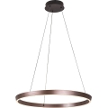 Rabalux - LED-hämardatav ripatslaelamp kaabliga LED/36W/230V 3000-6500K + kaugjuhtimispult