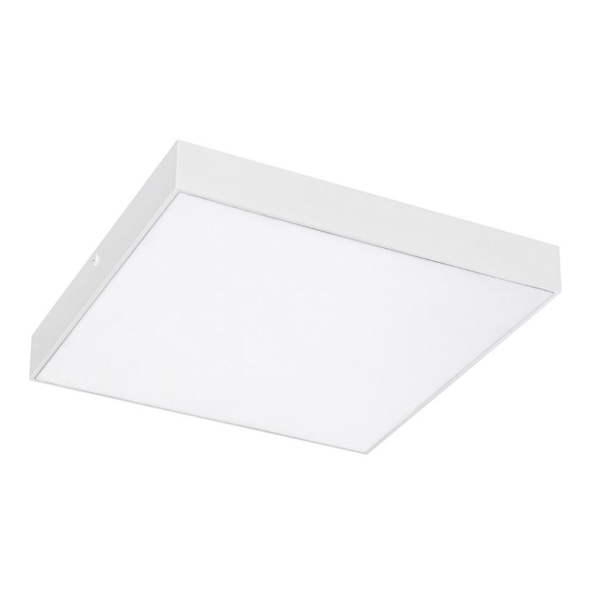 Rabalux - LED Hämardatav valgusti LED/24W/230V 3000-6000K IP44 valge