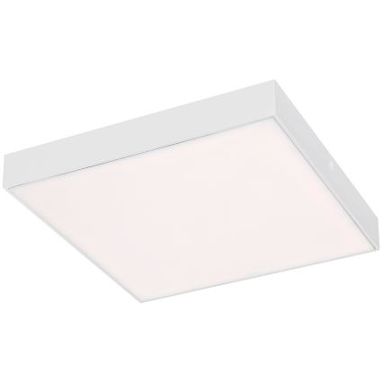 Rabalux - LED Hämardatav valgusti LED/24W/230V 3000-6000K IP44 valge