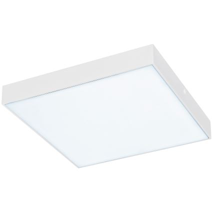 Rabalux - LED Hämardatav valgusti LED/24W/230V 3000-6000K IP44 valge