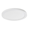 Rabalux - LED laelamp anduriga LED/18W/230V 4000K läbimõõt 22,5 cm