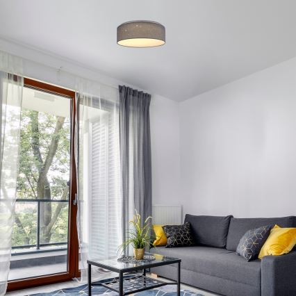 Rabalux - LED laelamp, 22 W, 230 V, hall, läbimõõt 40 cm