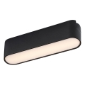 Rabalux - LED Laevalgusti 1-faasilisele rööbassüsteemile LED/6W/230V 3000K 11,5 cm must