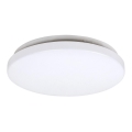 Rabalux - LED Laevalgusti 1xLED/20W/230V d. 29 cm