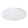 Rabalux - LED-laevalgusti 1xLED/32W/230V