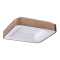 Rabalux - LED Laevalgusti CARMELA LED/30W/230V 40x40 cm