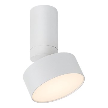 Rabalux - LED Laevalgusti LED/10W/230V 3000K valge