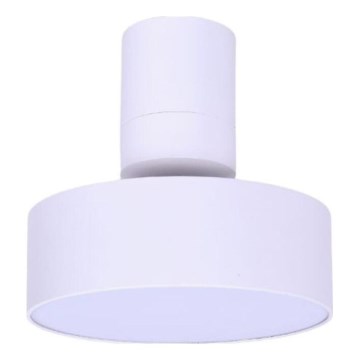 Rabalux - LED Laevalgusti LED/16W/230V 3000K valge