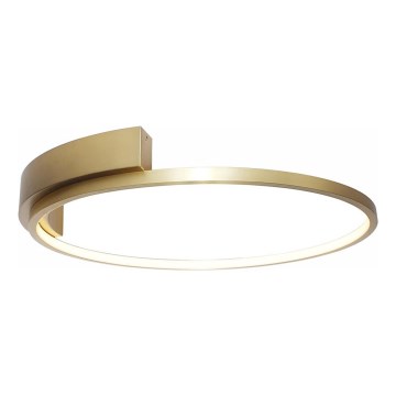 Rabalux - LED Laevalgusti LED/23W/230V